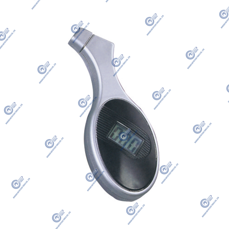 DTG-04 Digital Tyre Manage (5-100 PSI)